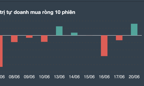 Tự doanh bắt đáy, cổ phiếu nào được gom nhiều nhất?
