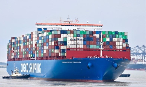 Doanh nghiệp Việt Nam đã nhận lại 100 container hạt điều nghi bị lừa đảo tại Italia