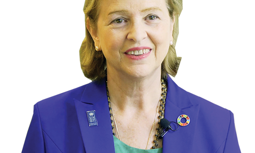 Trưởng Đại diện UNDP tại Việt Nam: Cần những khoản đầu tư lớn để giảm phát thải