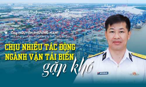 Chịu nhiều tác động, ngành vận tải biển gặp khó