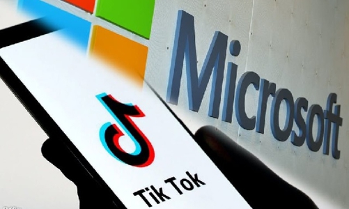 23 doanh nghiệp xuyên biên giới tự giác kê khai, nộp thuế qua cổng thông tin mới