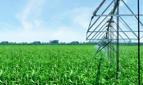 SBT - Toàn diện chuỗi cung ứng trên nền tảng phát triển bền vững