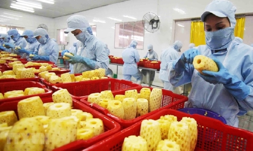 Doanh nghiệp chế biến nông sản gặp khó về thị trường