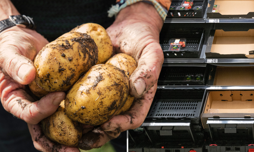 Ngành F&B toàn cầu khốn đốn vì thiếu thực phẩm