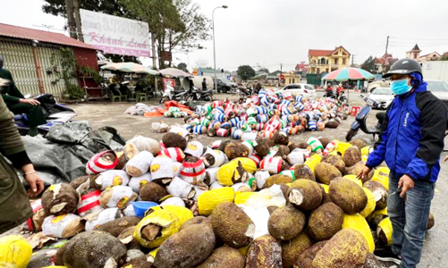 Xuất khẩu sang Trung Quốc sụt giảm mạnh