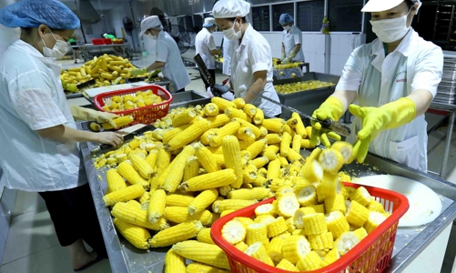 Các nước nhập khẩu ngày càng thắt chặt kiểm soát an toàn thực phẩm