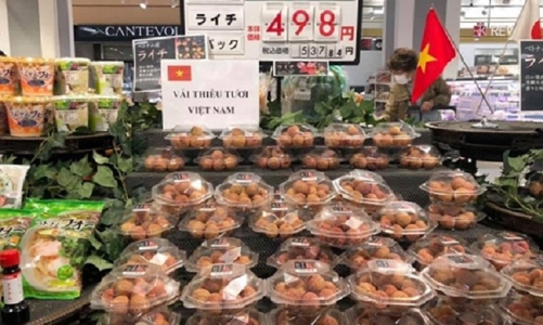 Vải thiều tươi của Việt Nam tiếp tục chinh phục thị trường Nhật Bản