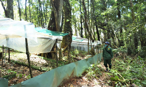 Đề xuất cho thương nhân hoạt động tại vùng khó khăn vay tối đa 1 tỷ với lãi suất thấp
