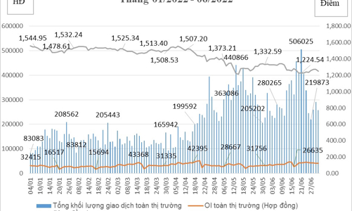 Tài khoản giao dịch phái sinh đạt 1.034.141, thanh khoản tháng 6 giảm nhẹ