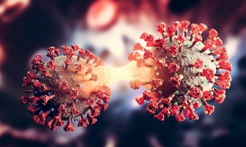 Làn sóng mới Covid-19 có vẻ đang mạnh lên