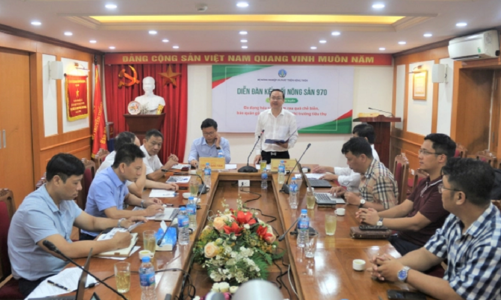 Rau quả Việt muốn tiến đến các thị trường xa cần đầu tư vào công nghệ chế biến