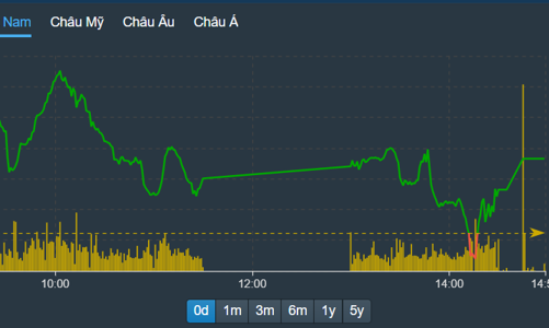 Chỉ số “nằm bẹp”, cổ phiếu thăng hoa