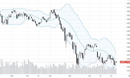 Blog chứng khoán: Chỉ số “méo”, cổ phiếu mạnh