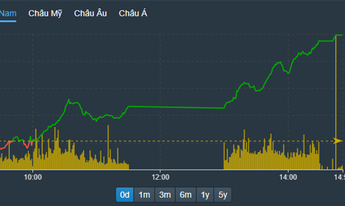 Bên mua nâng giá mạnh, cổ phiếu tăng kịch trần cả loạt