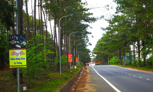 Kiến nghị thu hồi đất tại dự án Khu biệt thự du lịch sinh thái Măng Đen, Kon Tum