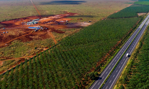 Đồng Nai gấp rút bàn giao mặt bằng, sắp khởi công thân nhà ga và đường kết nối 