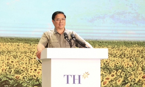 Thủ tướng: Phát triển kinh tế tư nhân trở thành một động lực quan trọng của nền kinh tế đất nước