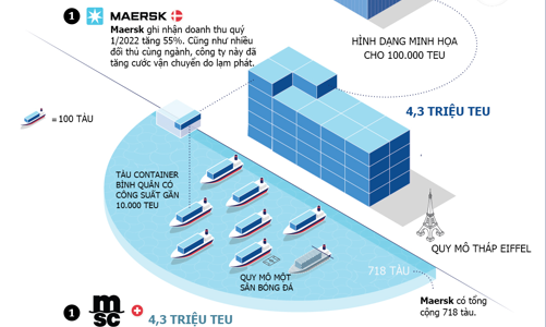 Điểm danh những hãng vận tải biển lớn nhất thế giới