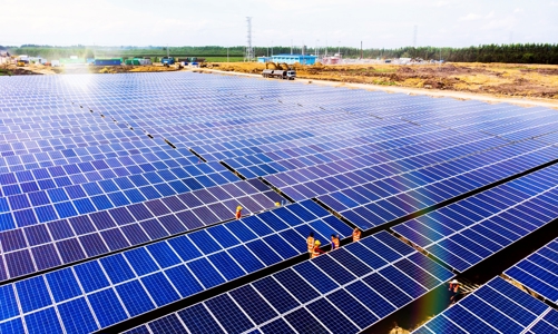 Bamboo Capital: Lãi sau thuế hơn 354 tỷ, doanh thu 881 tỷ trong quý 2/2022