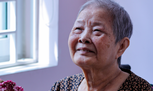 Mùa Vu Lan: Ecopark mang hàng nghìn bông hoa trao tặng cho những người đặc biệt