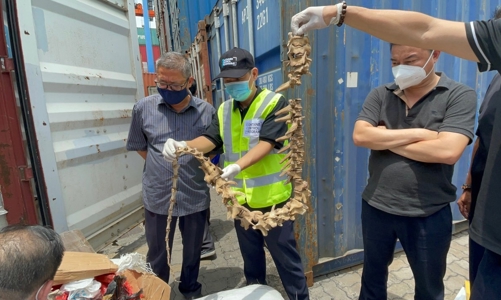 Hải quan TP HCM đề nghị công an khởi tố vụ nhập lậu cá ngựa, xương hổ, vảy tê tê… với số lượng lớn