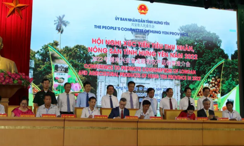 Hơn 20 doanh nghiệp, hợp tác xã ký kết tiêu thụ nhãn Hưng Yên 