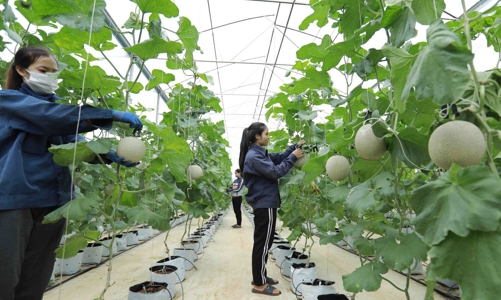 Ký kết Khung Chiến lược hợp tác phát triển bền vững (CF) giai đoạn 2022-2026