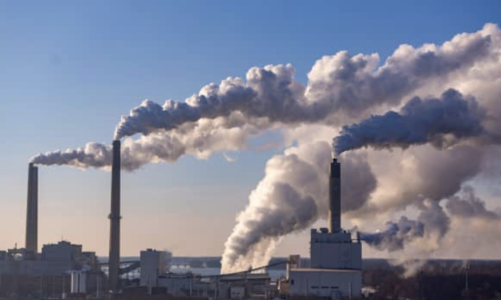 Nhu cầu than toàn cầu có thể lập kỷ lục mới, cổ phiếu than “vào cầu”