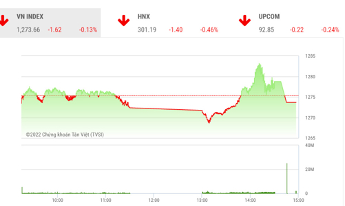 Áp lực chốt lời mạnh, VN-Index có thể kiểm định lại mức hỗ trợ 1.250
