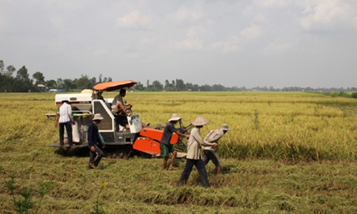 Đối tác công – tư trong nông nghiệp: Vướng mắc cần tháo gỡ 