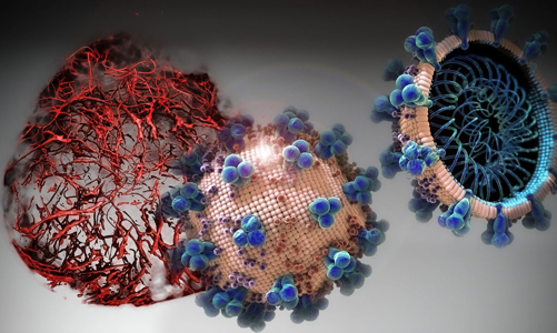 Đi tìm “lỗ hổng” của virus để đưa ra phương pháp điều trị Covid-19 mới