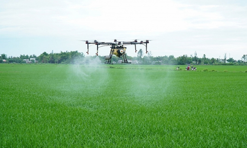 Chuẩn hóa quy định ứng dụng thiết bị bay phun thuốc bảo vệ thực vật