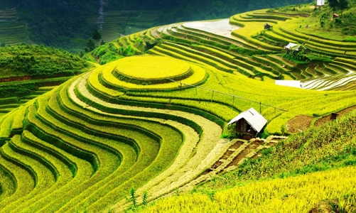 Phó Thủ tướng Phạm Bình Minh làm Chủ tịch Hội đồng điều phối vùng trung du và miền núi phía Bắc