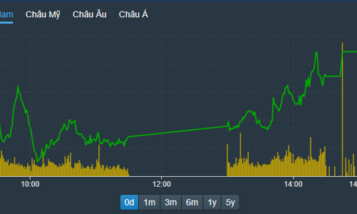 Cổ phiếu phân bón tím ngắt, VN-Index sắp chạm 1300