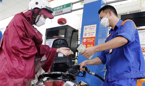 7 doanh nghiệp đầu mối xăng dầu bị rút giấy phép sắp được hoạt động trở lại