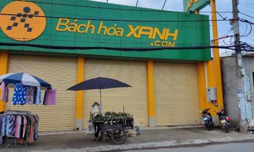 Thế giới di động: Thông tin định giá Bách Hóa Xanh 1,5 tỷ USD là không chính xác