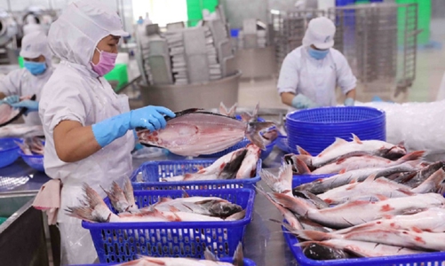 Việt Nam nhập siêu 500 triệu USD từ Nhật Bản