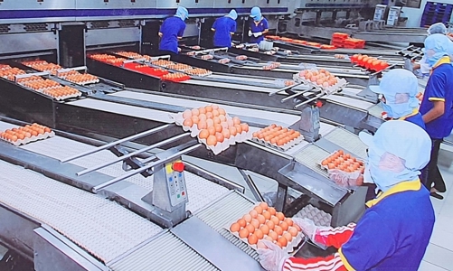 Doanh nghiệp phục hồi nhưng chỉ so với giai đoạn dịch bệnh, cần thêm hỗ trợ