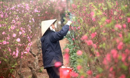 Kiến nghị nghỉ trước Tết Nguyên đán 2023 từ 2 – 3 ngày