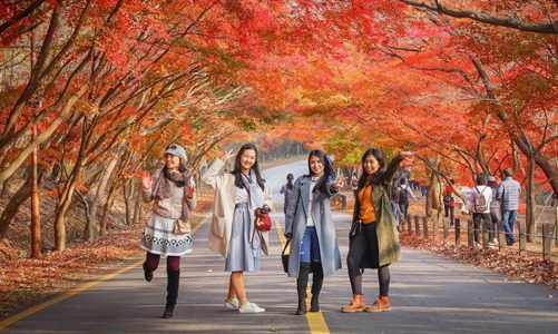 Dừng xuất trình giấy chứng nhận âm tính khi nhập cảnh Hàn Quốc, hút du khách mùa lá đỏ 