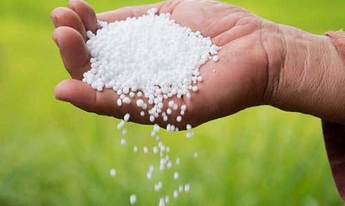 Nhiều yếu tố ủng hộ giá Ure giảm trong thời gian tới