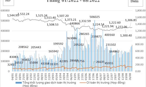Đến tháng 8/2022 đã có trên 1 triệu tài khoản giao dịch phái sinh
