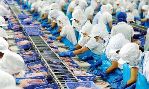 Xuất khẩu thủy sản sang Nga trong tháng 8/2022 tăng tới 98%