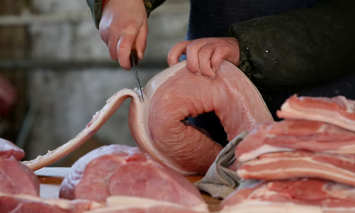 Trung Quốc lại khủng hoảng thịt lợn
