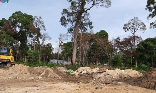 Kiên Giang: 1.584 vụ vi phạm về đất đai với diện tích 573 ha