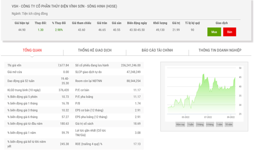 Công ty con của REE muốn gom thêm 4 triệu cổ phiếu thủy điện Vĩnh Sơn Sông Hinh