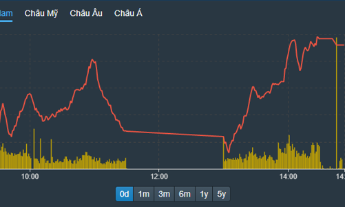 Cầu bắt đáy mạnh bạo hơn, cổ phiếu chứng khoán, bất động sản đảo chiều cả loạt