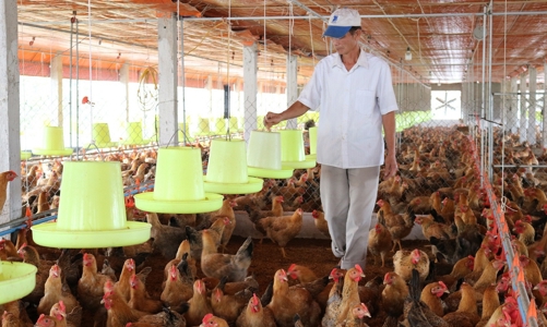 Triển lãm Vietstock Expo & Forum 2022: Cơ hội tiếp cận công nghệ mới cho ngành chăn nuôi