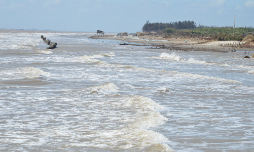 Bến Tre cần kinh phí hỗ trợ khẩn cấp chống sạt lở đê biển