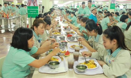Đưa thực phẩm vào trường học và bếp ăn tập thể phải đảm bảo an toàn vệ sinh